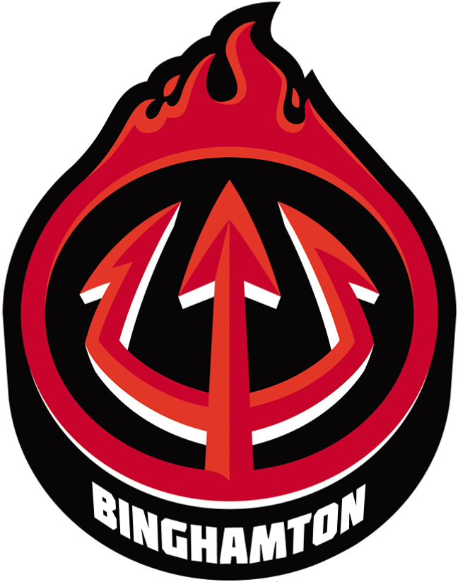 Binghamton Devils 2017-Pres Alternate Logo v2 iron on heat transfer...